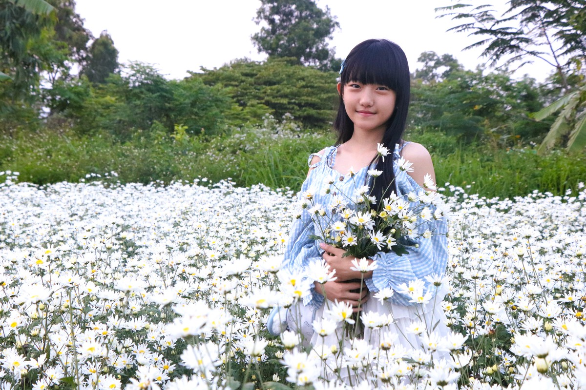 Cúc họa mi nở giữa phố biển, “ươm” sinh kế cho phụ nữ Đà Nẵng- Ảnh 2. Cúc họa mi nở giữa phố biển, “ươm” sinh kế cho phụ nữ Đà Nẵng- Ảnh 2.