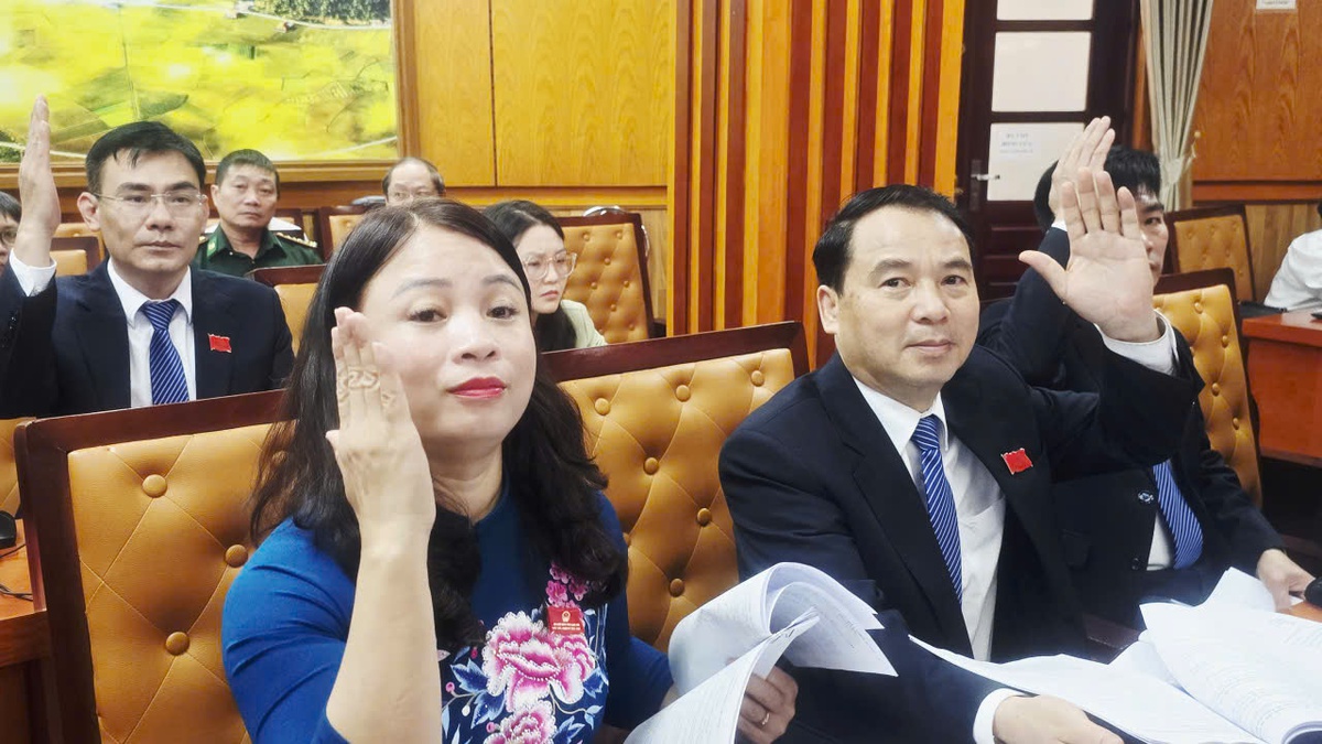 Bà Đoàn Thị Hậu được bầu làm Chủ tịch HĐND tỉnh Lạng Sơn khóa XVIII- Ảnh 8.