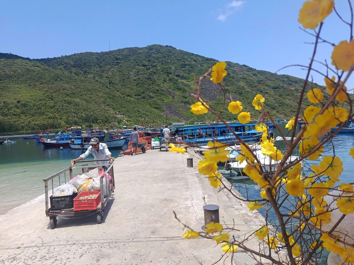 Khánh Hòa: Tìm giải pháp "tiếp sức" người dân đảo Bích Đầm sau phản ánh của Báo Phụ nữ Việt Nam- Ảnh 1.