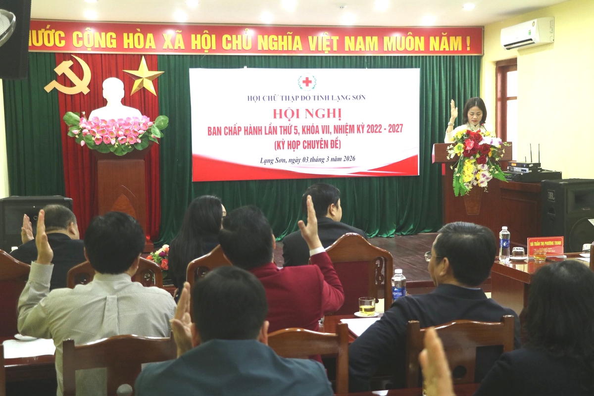 Bà Nguyễn Thu Hoài làm Chủ tịch Hội Chữ thập đỏ tỉnh Lạng Sơn- Ảnh 2.