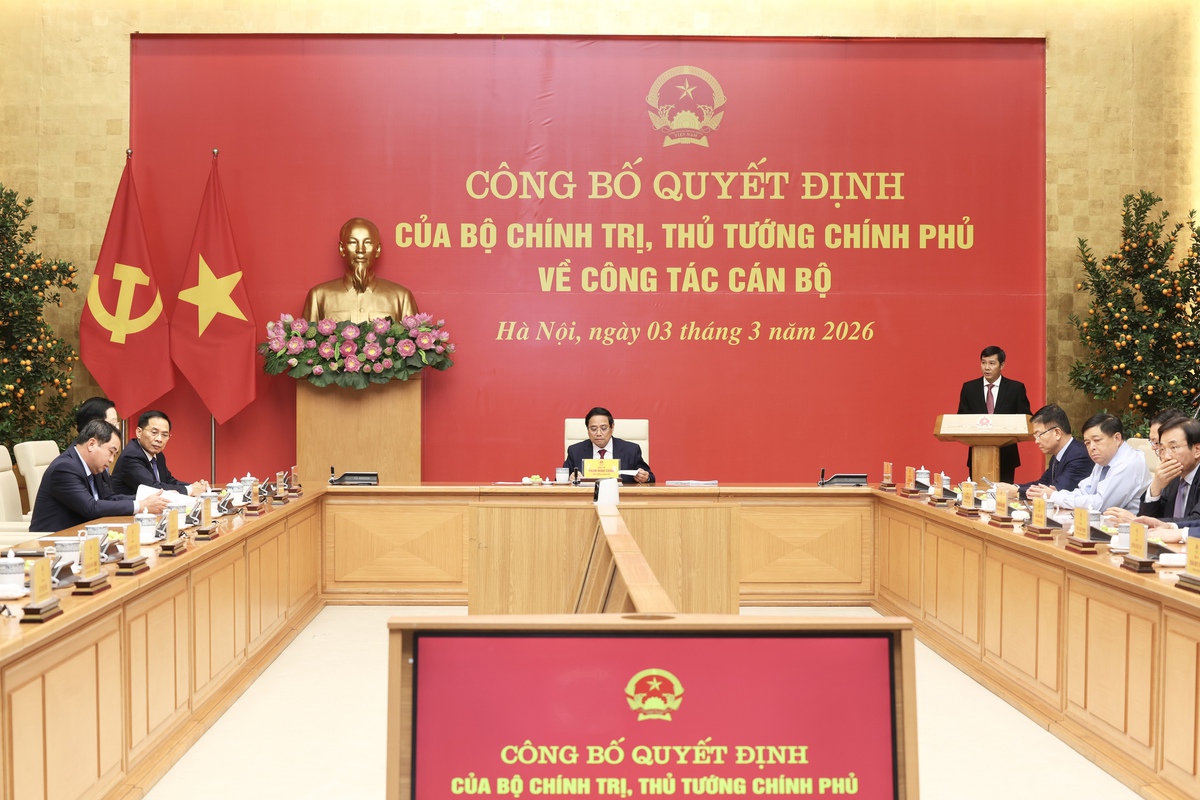 Bà Nguyễn Thị Tuyến giữ chức Phó Bí thư Đảng ủy Chính phủ- Ảnh 1.