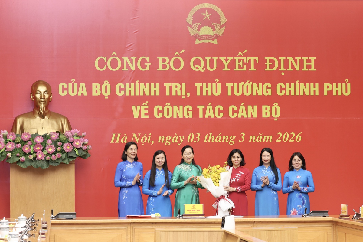 Bà Nguyễn Thị Tuyến giữ chức Phó Bí thư Đảng ủy Chính phủ- Ảnh 3.