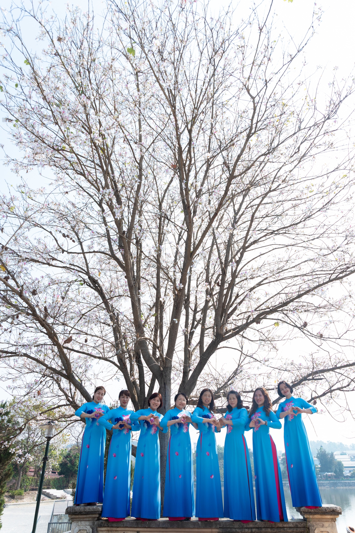 Phụ nữ Điện Biên duyên dáng áo dài, tỏa sáng cùng sắc hoa ban- Ảnh 3.