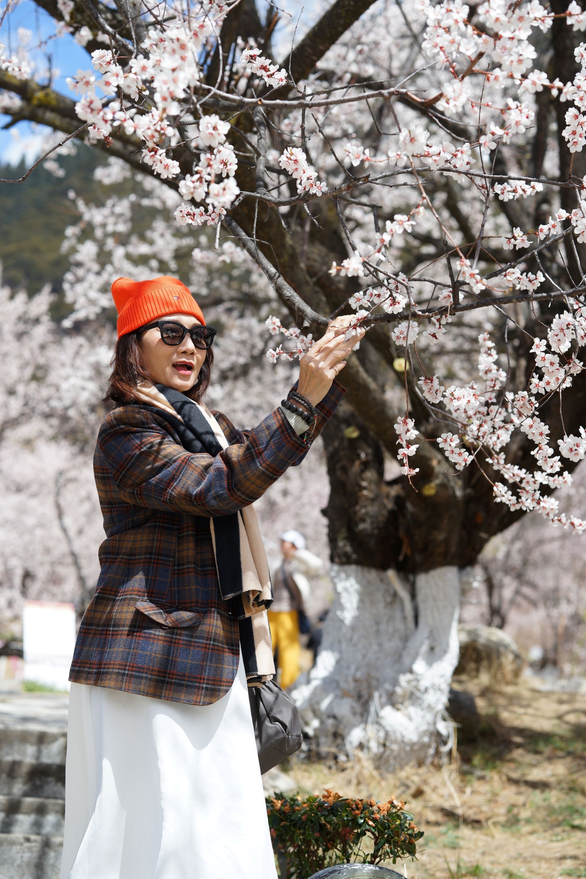 NSND Mỹ Uyên ngất ngây trước mùa hoa đào bên rặng Tuyết Sơn- Ảnh 1.