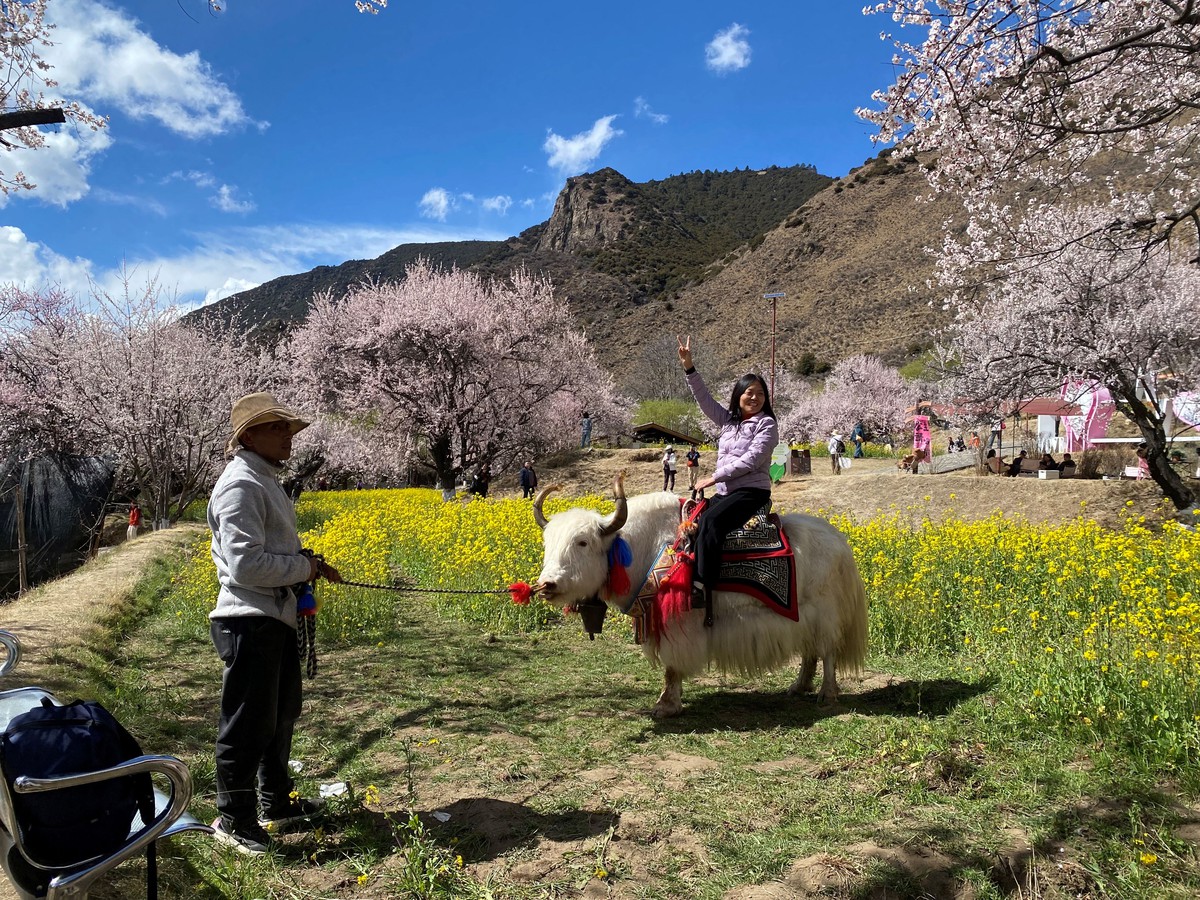 NSND Mỹ Uyên ngất ngây trước mùa hoa đào bên rặng Tuyết Sơn- Ảnh 4.