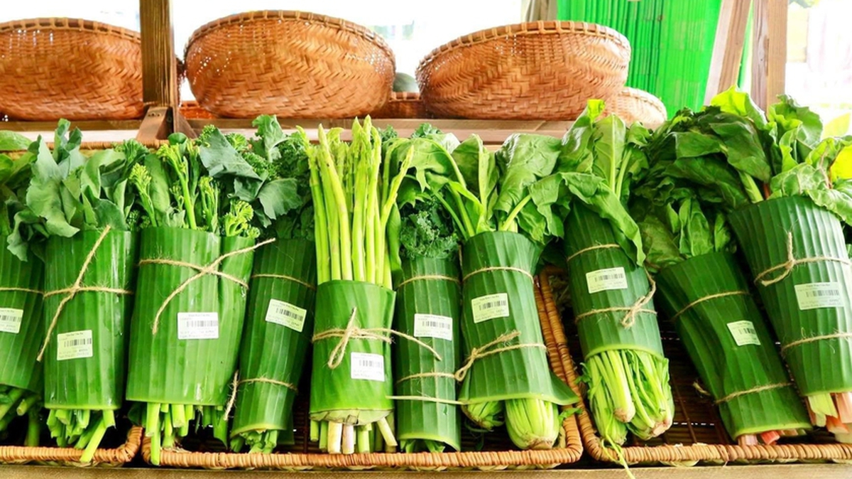 Tiêu dùng xanh từ căn bếp đô thị: Khi phụ nữ thay đổi từng bữa ăn- Ảnh 2. Tiêu dùng xanh từ căn bếp đô thị: Khi phụ nữ thay đổi từng bữa ăn- Ảnh 2.