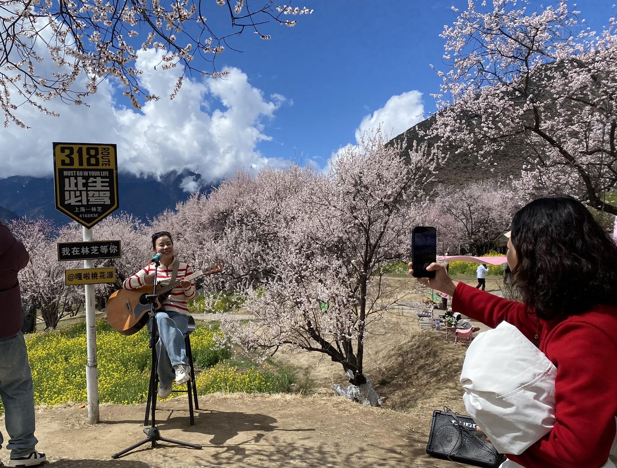 NSND Mỹ Uyên ngất ngây trước mùa hoa đào bên rặng Tuyết Sơn- Ảnh 7.