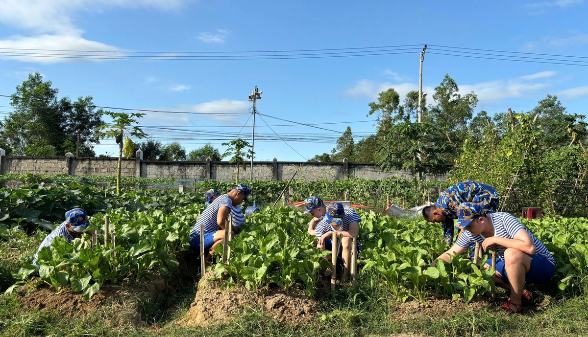 Để mỗi chiến sĩ mới đều tự hào khi trở thành bộ đội Hải quân- Ảnh 7.