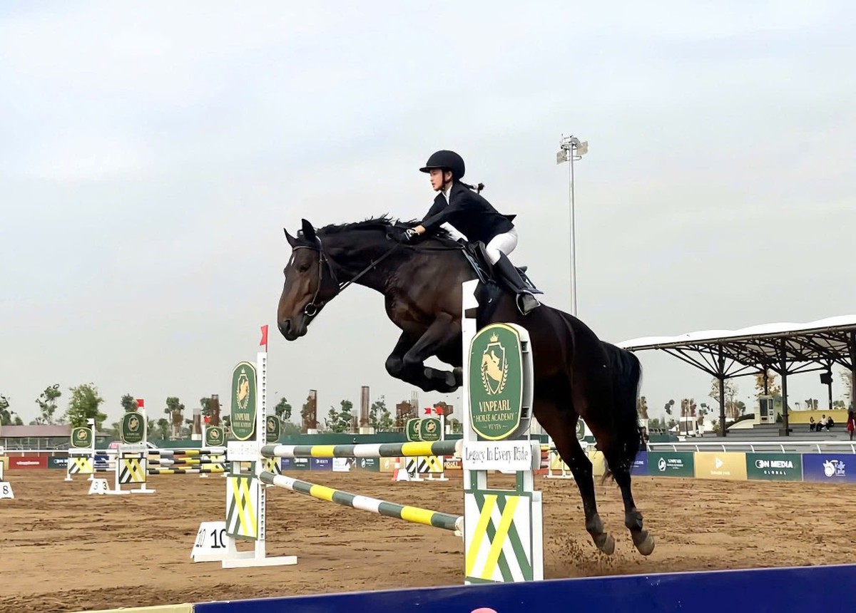 Không cần chọn giữa an cư hay đầu tư, Vinhomes Royal Island hội tụ 4 giá trị trong 1 điểm đến- Ảnh 3.