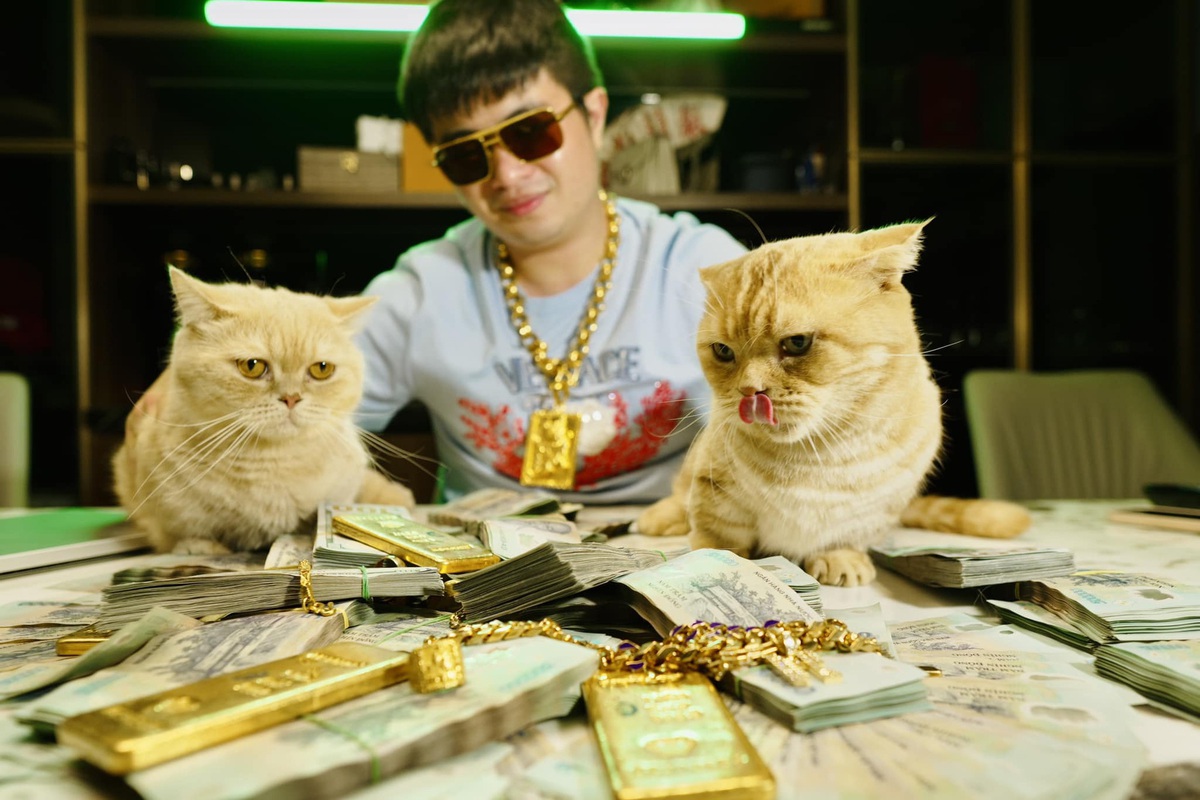 Giám đốc Công an Hà Nội: Nhiều quốc gia muốn học kinh nghiệm từ chuyên án Mr Pips- Ảnh 1.