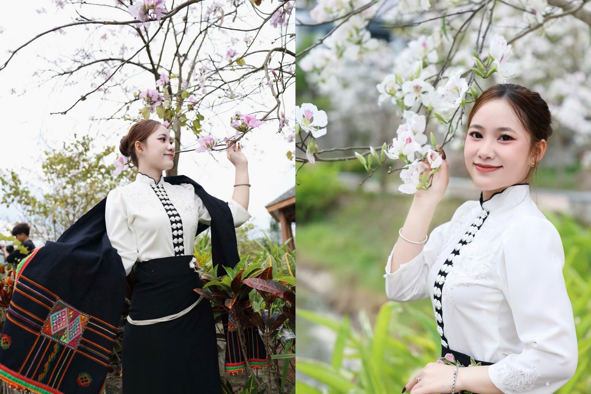 Điện Biên dịu dàng mùa hoa ban nở- Ảnh 6.