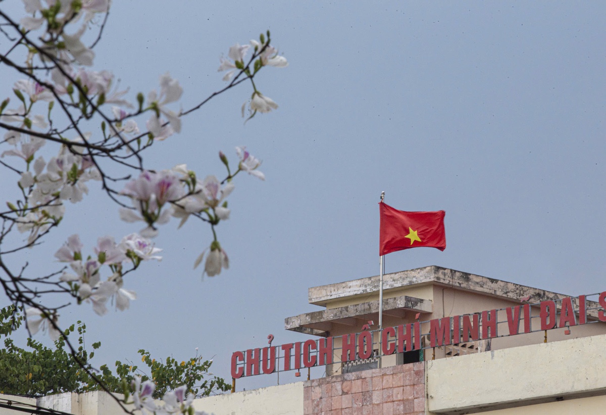 Điện Biên dịu dàng mùa hoa ban nở- Ảnh 3.