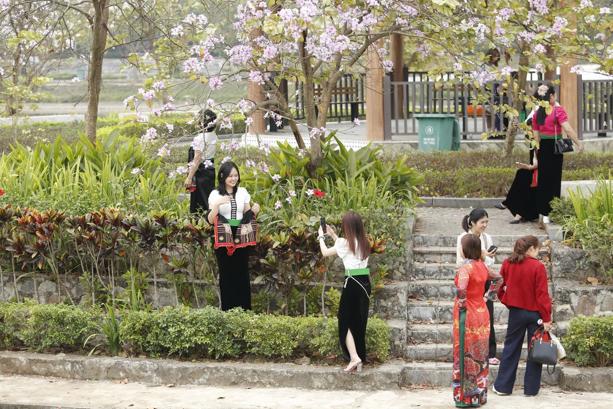 Điện Biên dịu dàng mùa hoa ban nở- Ảnh 9.