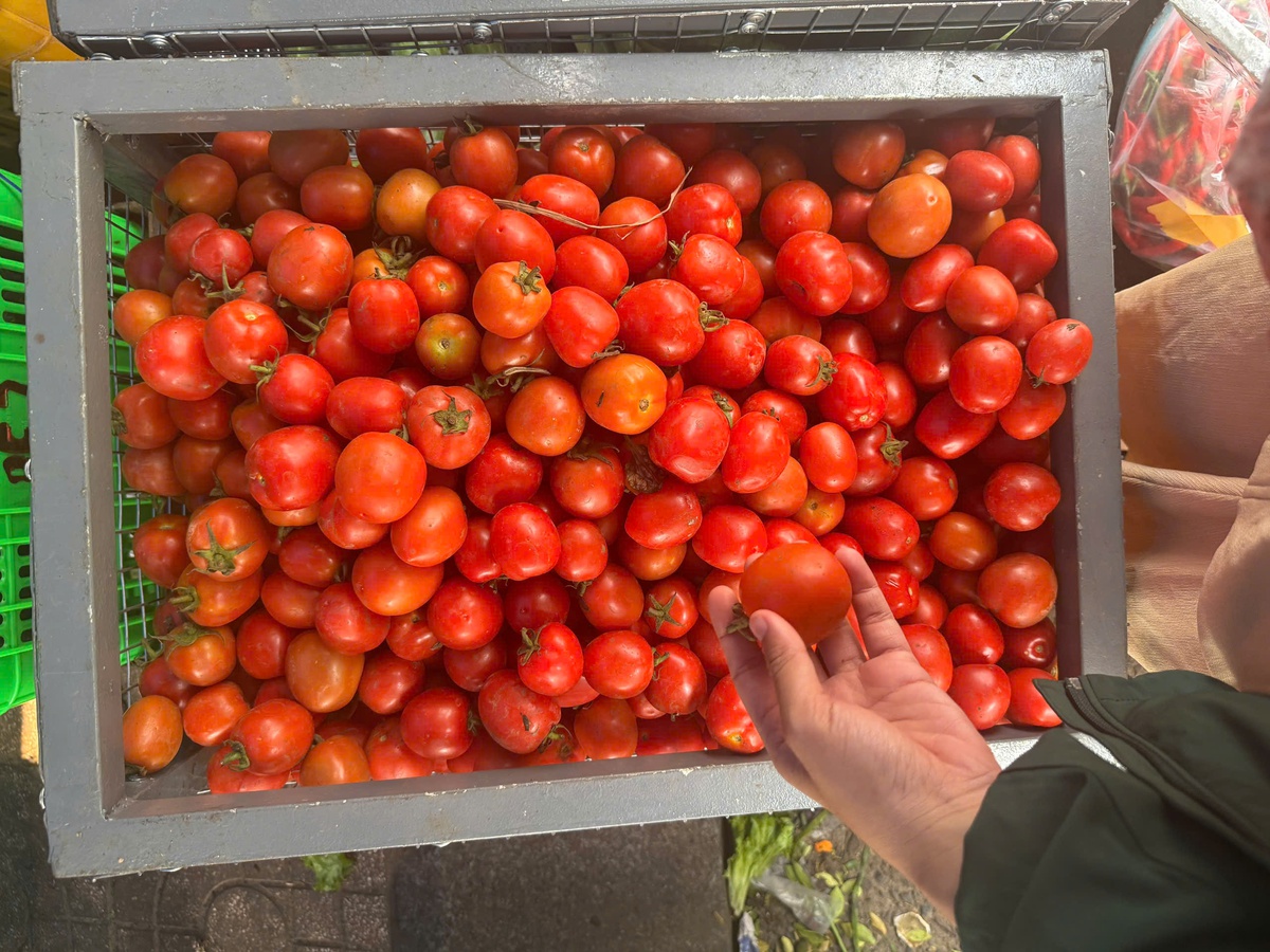 1 quầy bán cà chua tại chợ Bà Chiểu. Ảnh: Hồ Lam