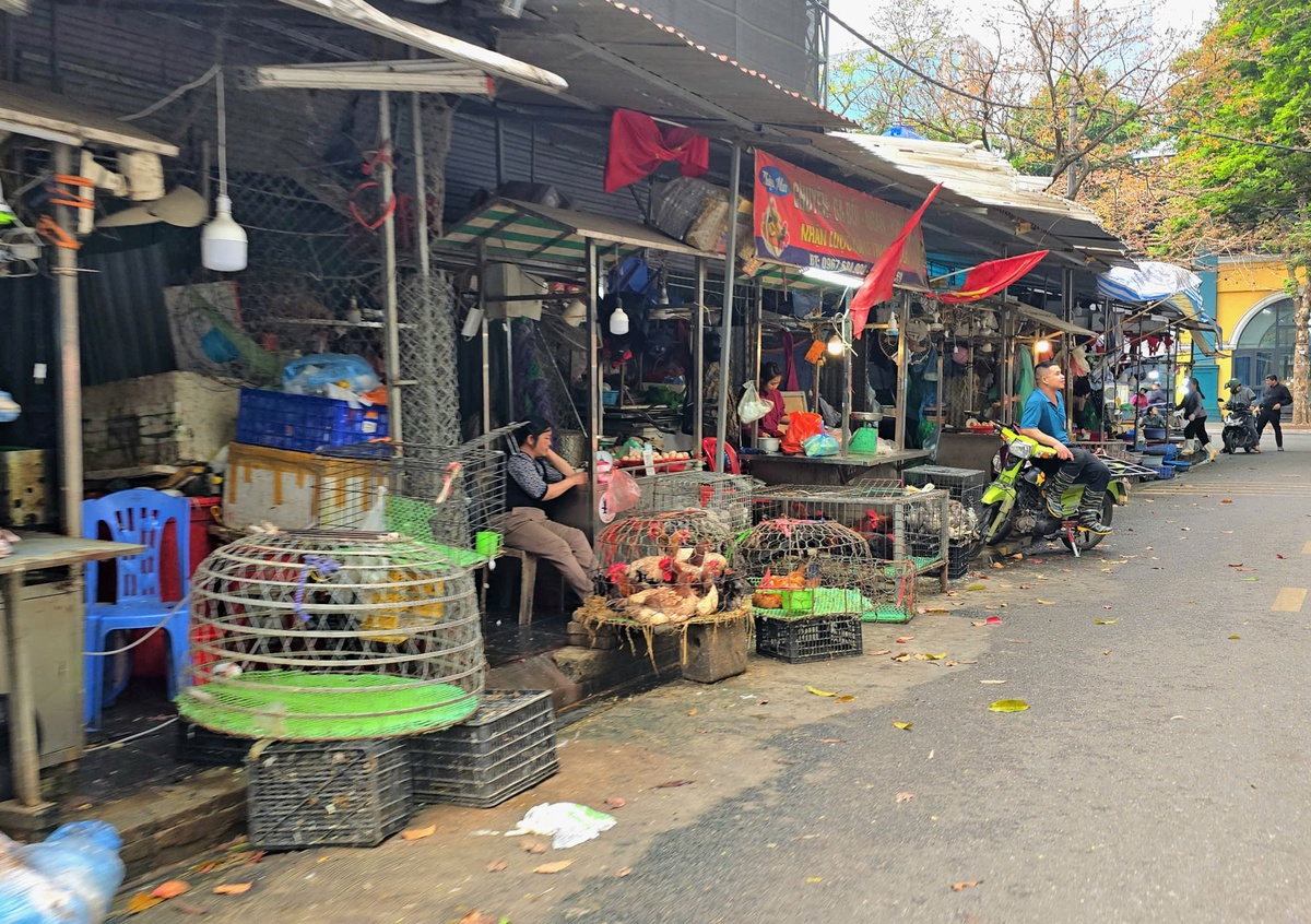 Bị yêu cầu tháo dỡ, sân pickleball và chợ tạm trên "đất vàng" ở Hà Nội vẫn hoạt động- Ảnh 8.