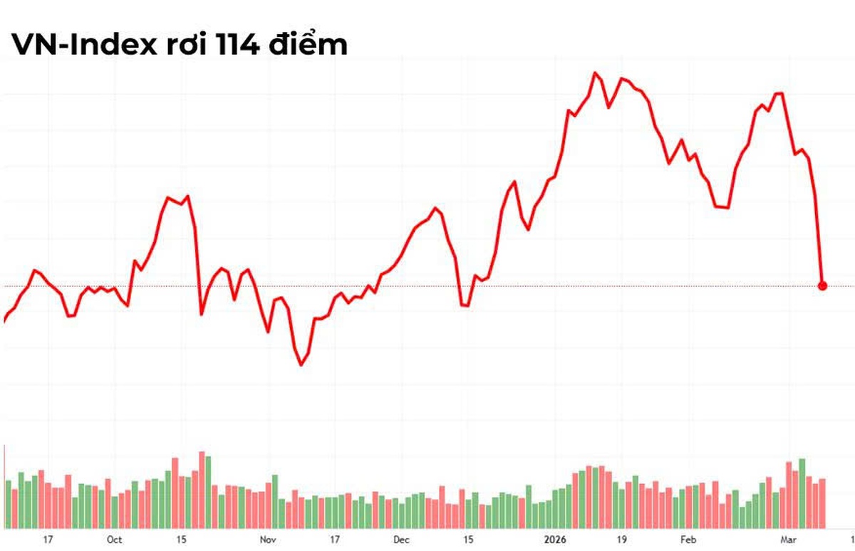 VN-Index mất 115 điểm: Điều gì khiến thị trường giảm sốc?- Ảnh 2.