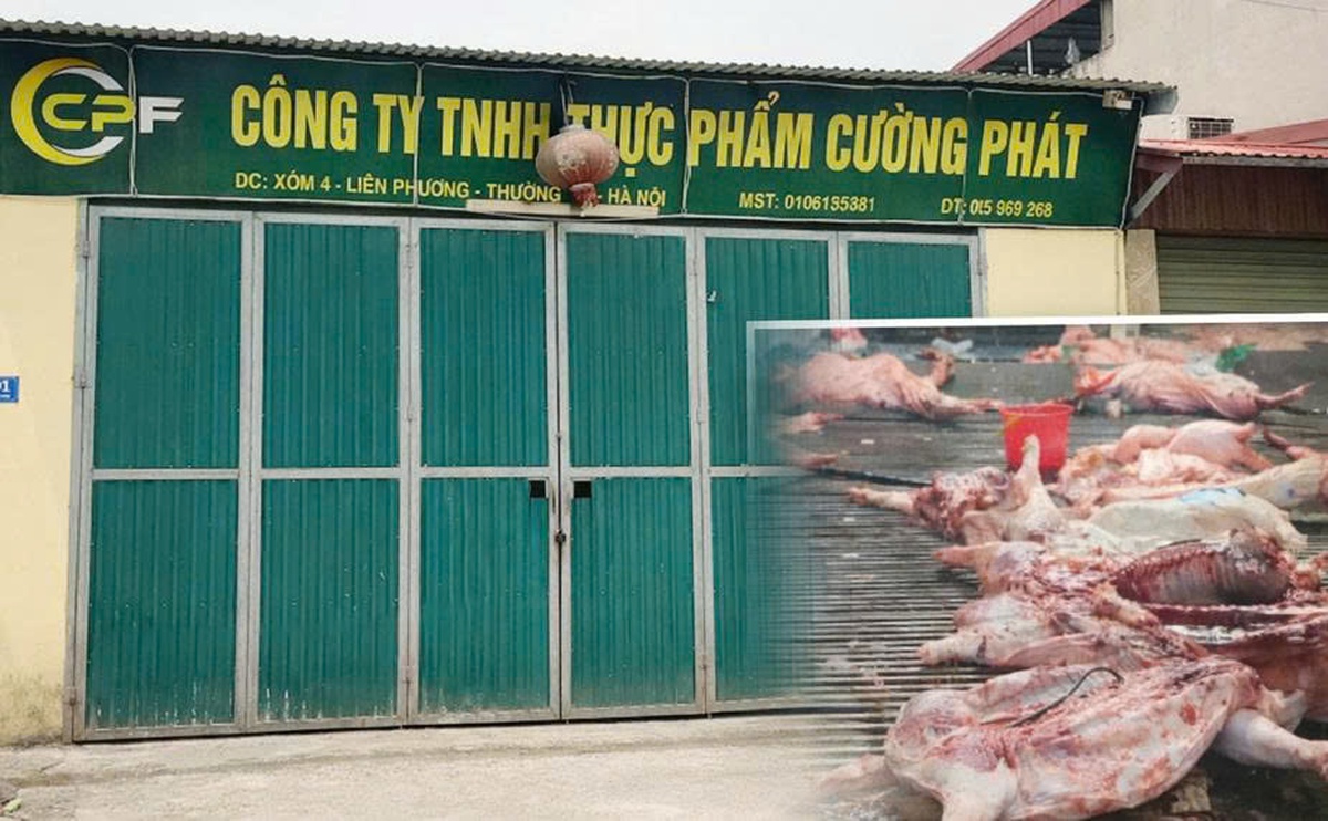 Thực phẩm bẩn vào trường học: Tội ác không thể dung thứ- Ảnh 3.