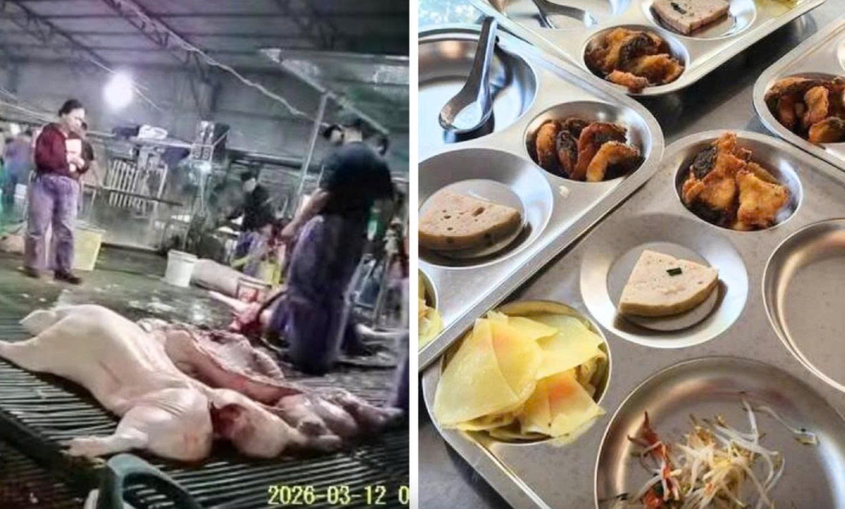 Bộ Y tế chỉ đạo khẩn, yêu cầu siết chặt an toàn thực phẩm học đường và bếp ăn tập thể- Ảnh 1.