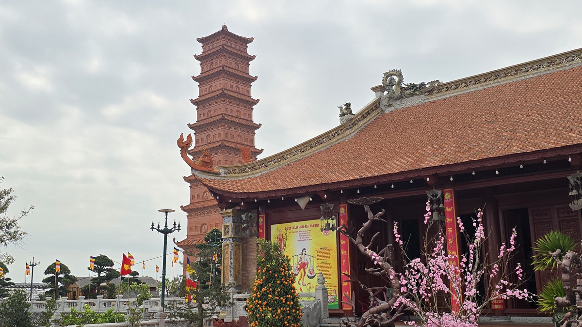 Tìm về chốn linh thiêng bên di tích Tháp Tường Long- Ảnh 2.