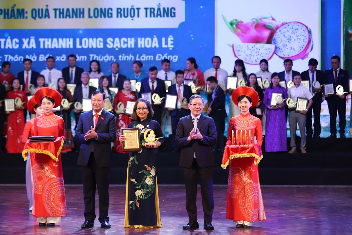 Tôn vinh 100 Hợp tác xã tiêu biểu trong thực hiện hiệu quả phong trào phát triển kinh tế tập thể- Ảnh 6.