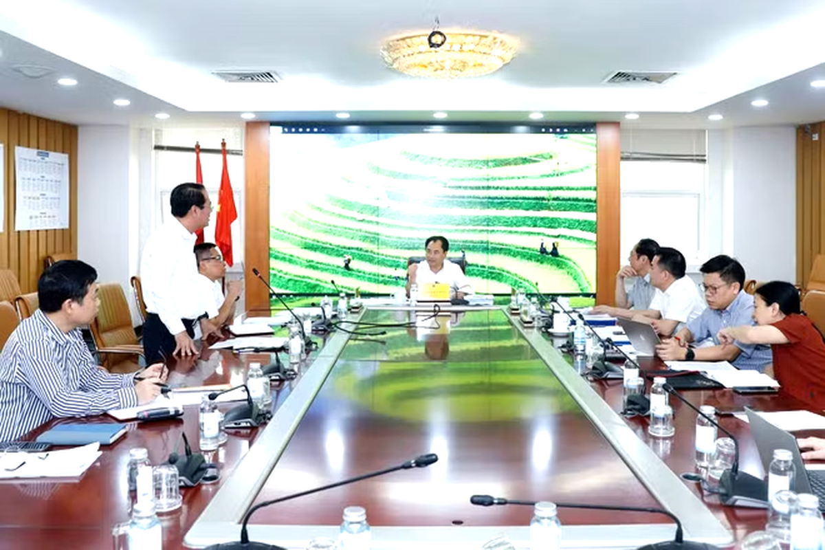 Bộ trưởng Trịnh Việt Hùng: Luật đất đai, môi trường (sửa đổi) phải đảm bảo "sống được"- Ảnh 1.