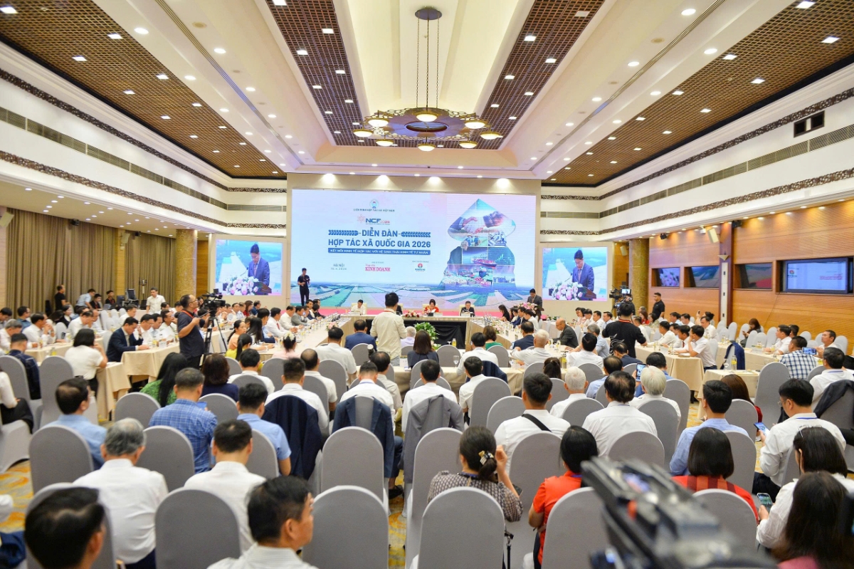 Hợp tác xã khẳng định vai trò trong hệ sinh thái kinh tế quốc gia- Ảnh 1.