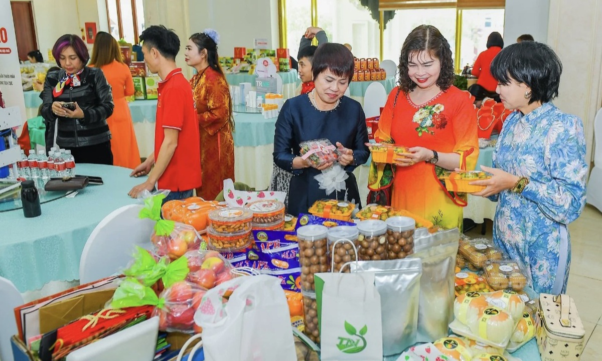 Hội Nữ doanh nhân Hải Phòng kiến tạo hệ sinh thái giao thương năng động, kết nối và giàu sức lan tỏa- Ảnh 1.