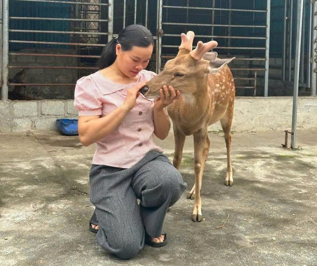 Phụ nữ Cao Bằng giúp nhau phát triển kinh tế, giảm nghèo bền vững- Ảnh 2.