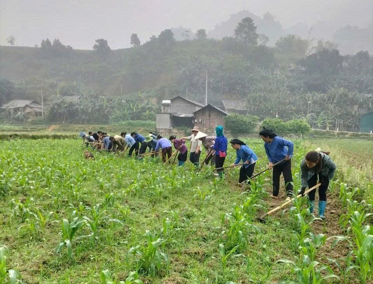 Phụ nữ Cao Bằng giúp nhau phát triển kinh tế, giảm nghèo bền vững- Ảnh 3.