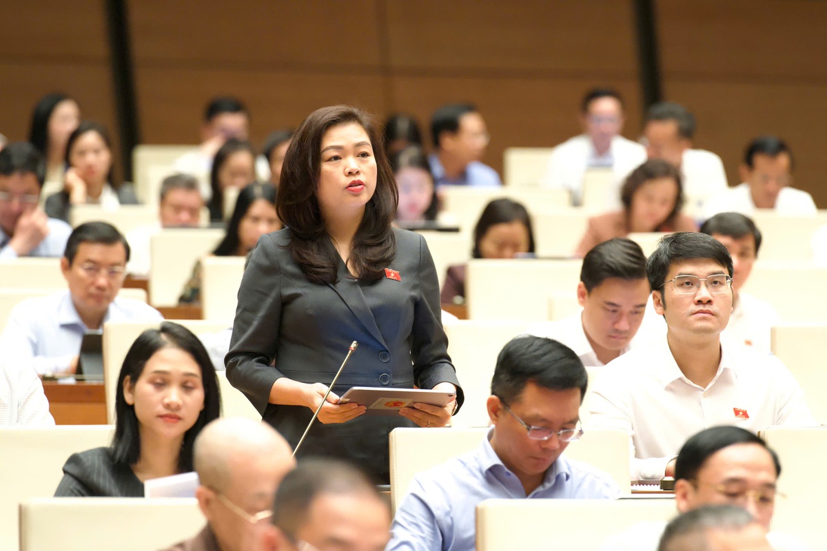 Dự thảo Luật sửa đổi, bổ sung Luật Trợ giúp pháp lý: Cần lồng ghép bình đẳng giới và bảo vệ phụ nữ, trẻ em- Ảnh 1.