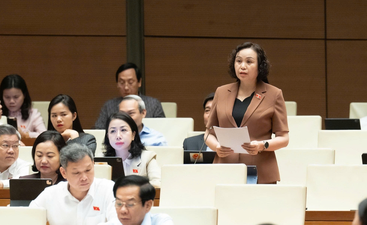 Dự thảo Luật sửa đổi, bổ sung Luật Trợ giúp pháp lý: Cần lồng ghép bình đẳng giới và bảo vệ phụ nữ, trẻ em- Ảnh 2.