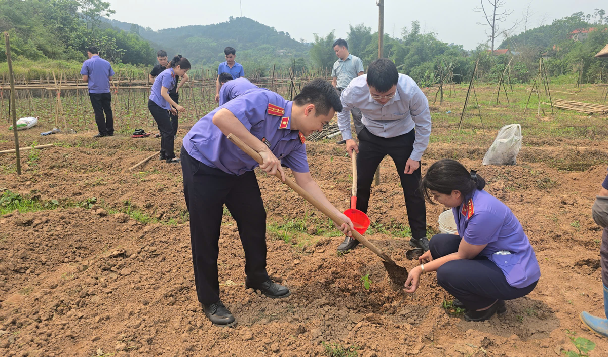 Phụ nữ miền núi Lạng Sơn góp công, góp của giúp hội viên yếu thế, khó khăn- Ảnh 2. Phụ nữ miền núi Lạng Sơn góp công, góp của giúp hội viên yếu thế, khó khăn- Ảnh 2.