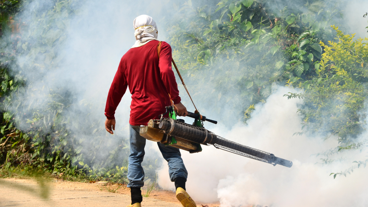 Gần 32.000 ca sốt xuất huyết, Bộ Y tế cảnh báo nguy cơ dịch bùng phát- Ảnh 2.