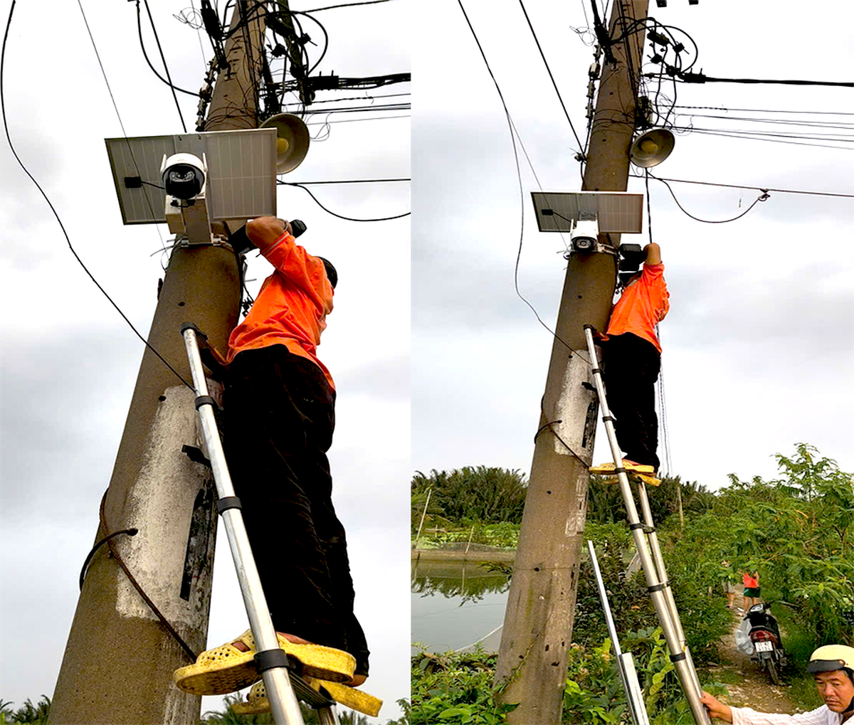 Đổ rác bừa bãi, bị "phạt nguội" 3,5 triệu đồng- Ảnh 1. Đổ rác bừa bãi, bị "phạt nguội" 3,5 triệu đồng- Ảnh 1.