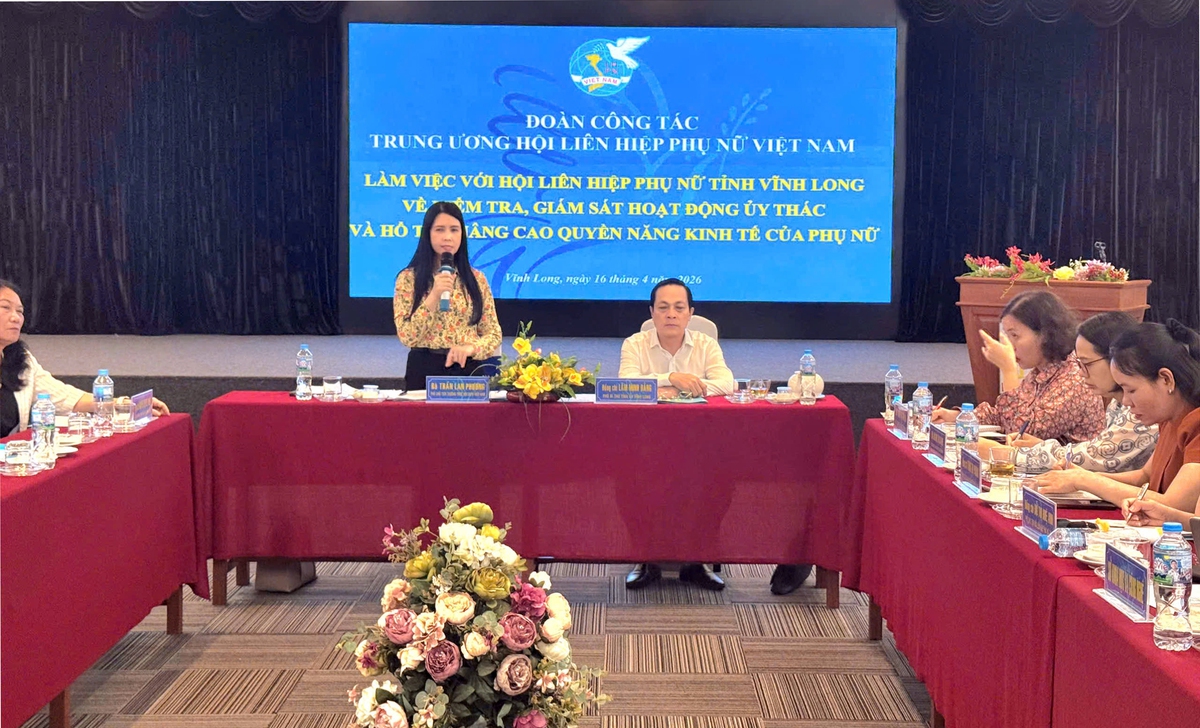TƯ Hội LHPN Việt Nam kiểm tra, giám sát hoạt động ủy thác tại Vĩnh Long- Ảnh 1.