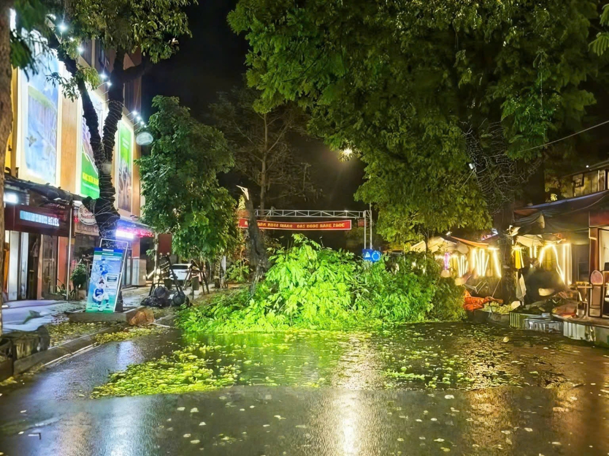 Chủ tịch UBND tỉnh Cao Bằng chỉ đạo khẩn khắc phục hậu quả mưa đá, giông lốc- Ảnh 1.