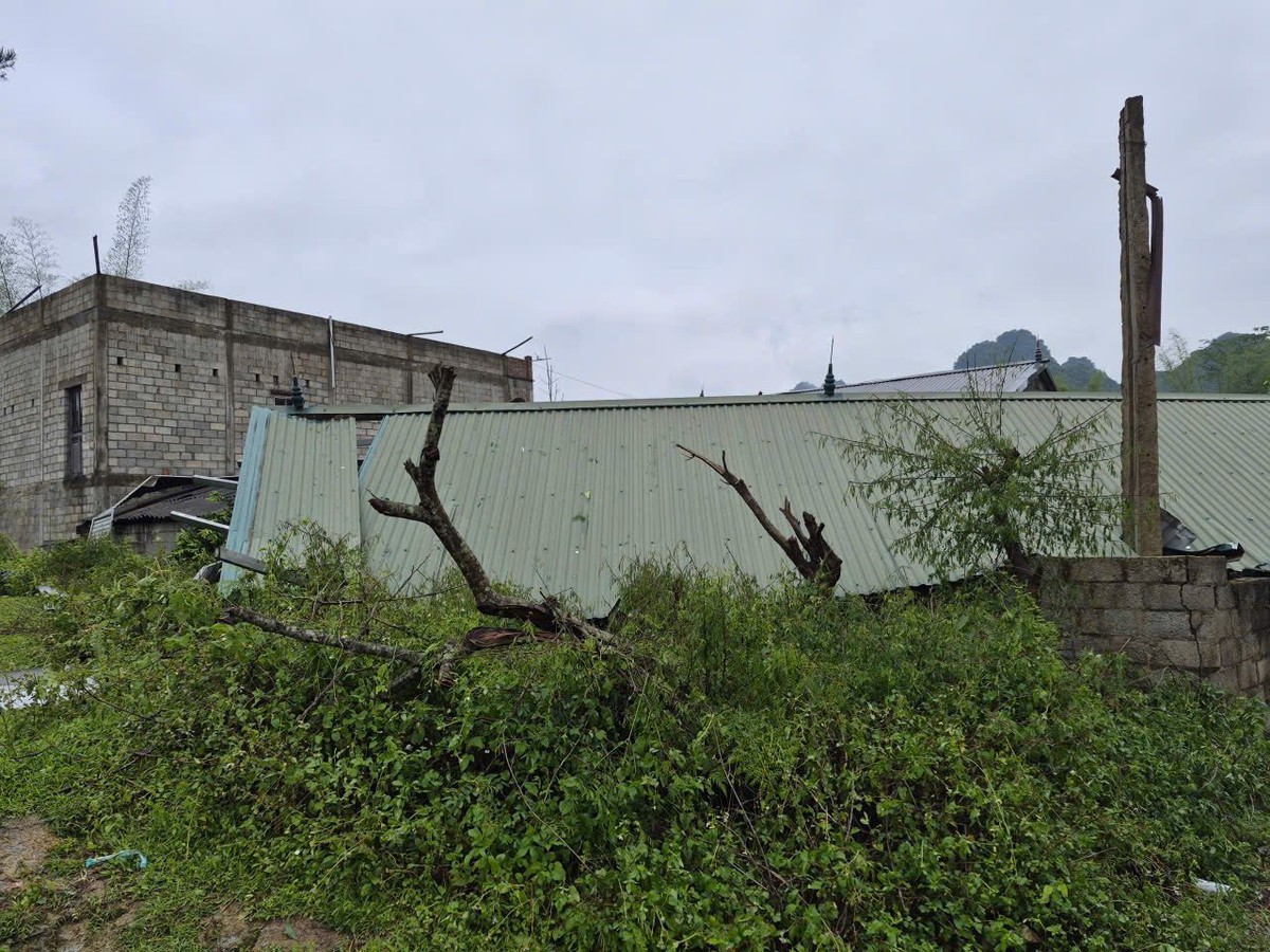 Chủ tịch UBND tỉnh Cao Bằng chỉ đạo khẩn khắc phục hậu quả mưa đá, giông lốc- Ảnh 3.