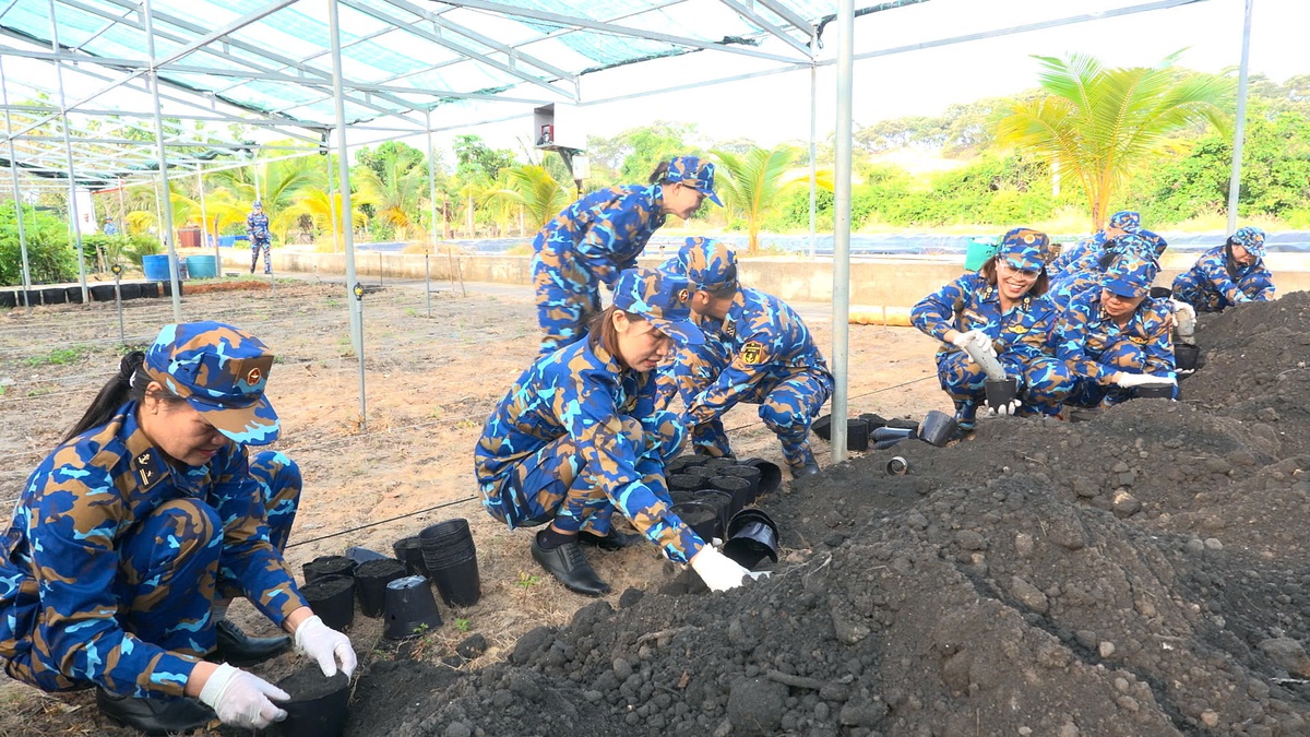 Vùng 4 Hải quân nhân giống 30.000 cây trồng để "Xanh hóa Trường Sa"- Ảnh 2.