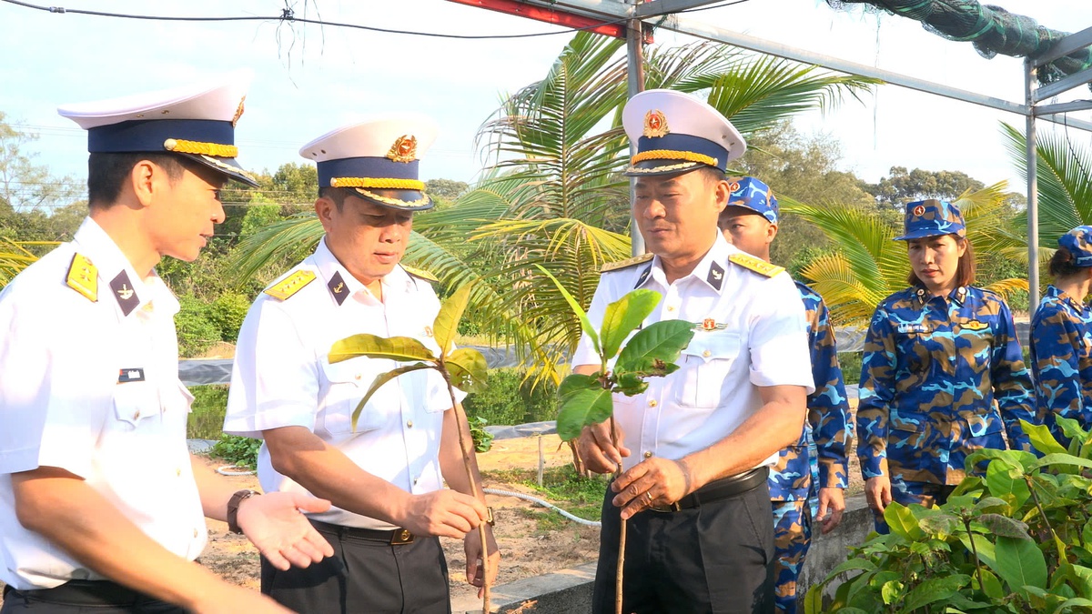 Vùng 4 Hải quân nhân giống 30.000 cây trồng để "Xanh hóa Trường Sa"- Ảnh 1.