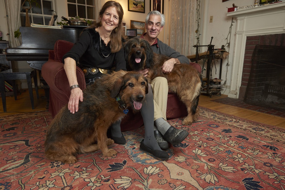 Giải “Oscar khoa học” vinh danh 2 nhà khoa học nữ với liệu pháp gen điều trị bệnh mù bẩm sinh - Ảnh 3.