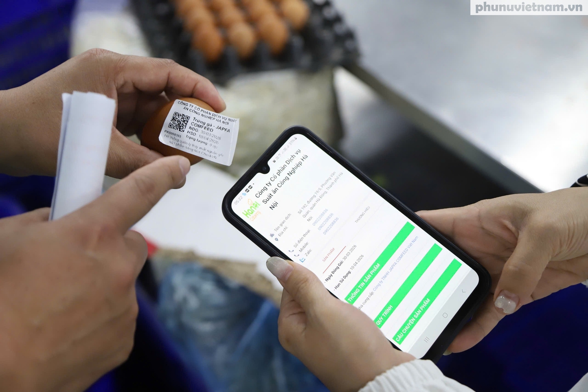 Sau vụ 300 tấn thịt lợn bệnh, phụ huynh “đột nhập” cơ sở cung cấp suất ăn bán trú từ 4h30 sáng- Ảnh 8.