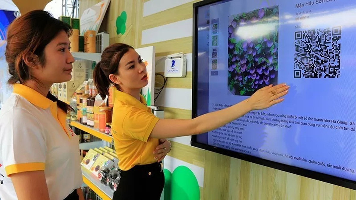 Hiện thực hóa Nghị quyết Đại hội: Hội LHPN Sơn La dẫn dắt hội viên chuyển mình- Ảnh 1.