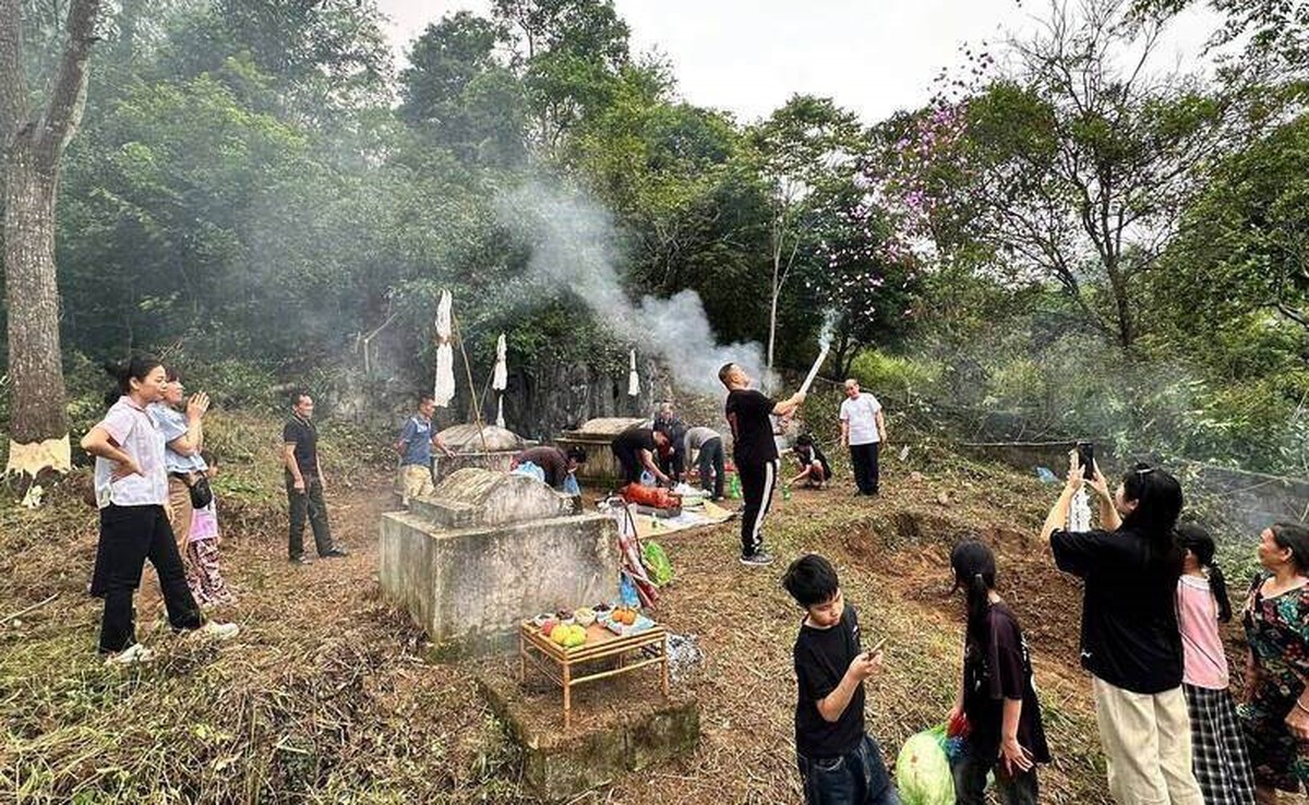 Bị ong rừng tấn công, 8 người nhập viện- Ảnh 1.