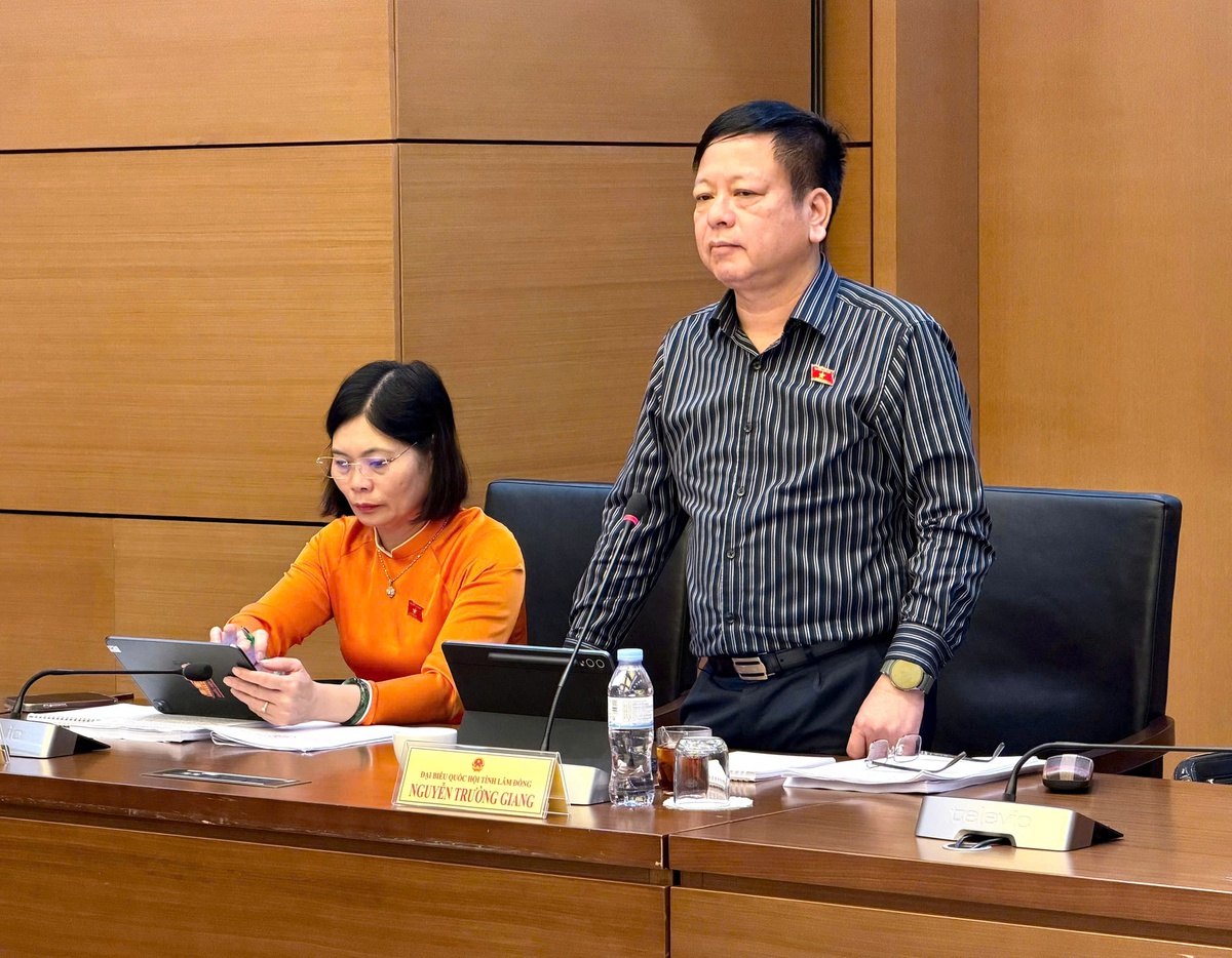 Thí điểm chế định Luật sư công: Phải bảo đảm tính thống nhất, khả thi và công bằng- Ảnh 2.