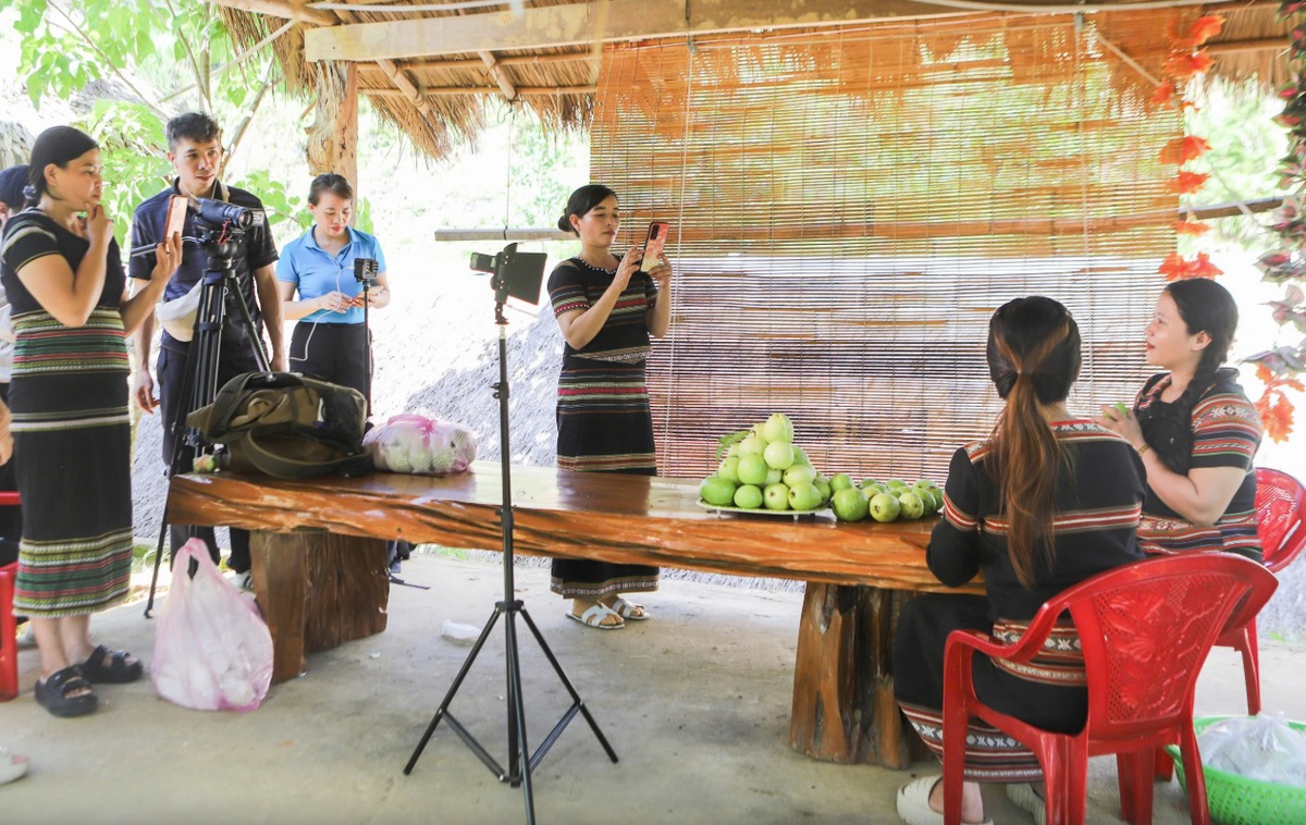 Hội LHPN Việt Nam đẩy mạnh chuyển đổi số, đưa công nghệ đến từng hội viên- Ảnh 2.