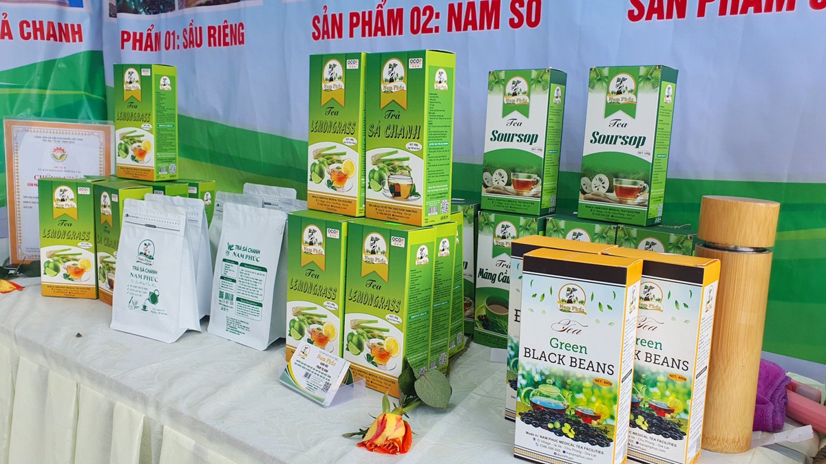 Hoa hậu, TikToker quảng bá nông sản trực tuyến cho người dân Gia Lai- Ảnh 2.