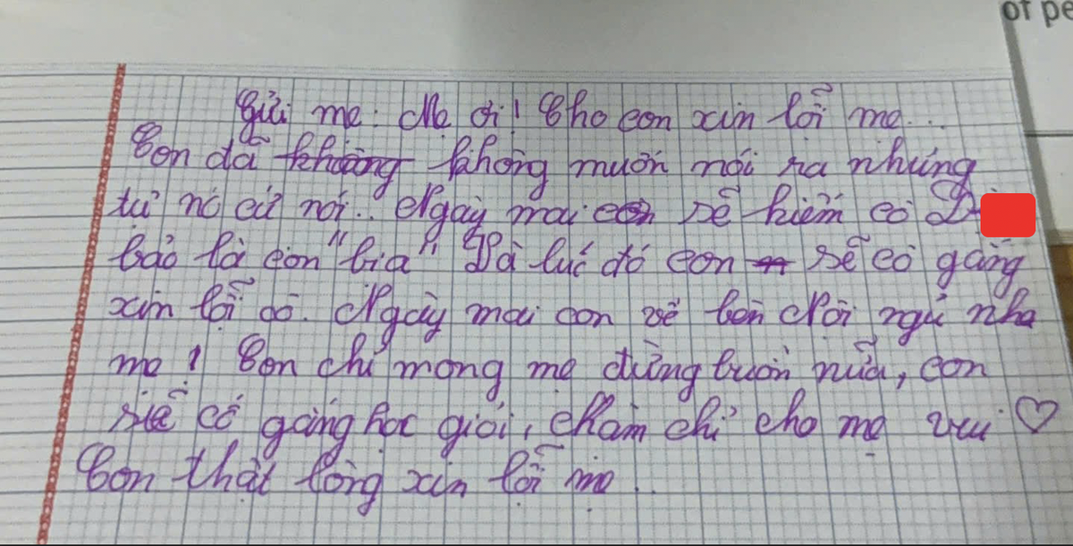 Nữ sinh lớp 5 bị xúc phạm bằng "mật mã", phụ huynh bức xúc vì trường xử lý không thỏa đáng- Ảnh 2.