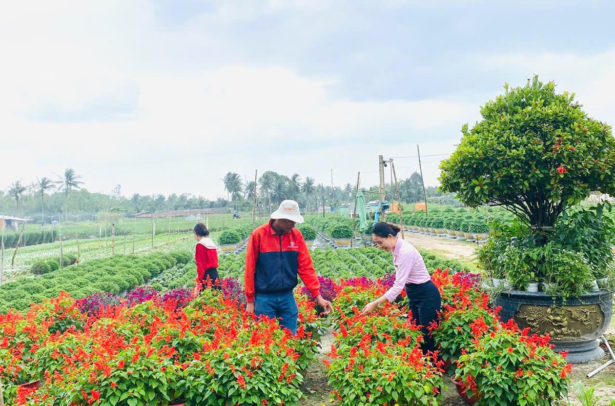 Vốn tín dụng chính sách góp phần giảm nghèo bền vững cho vùng đất ven biển- Ảnh 2.