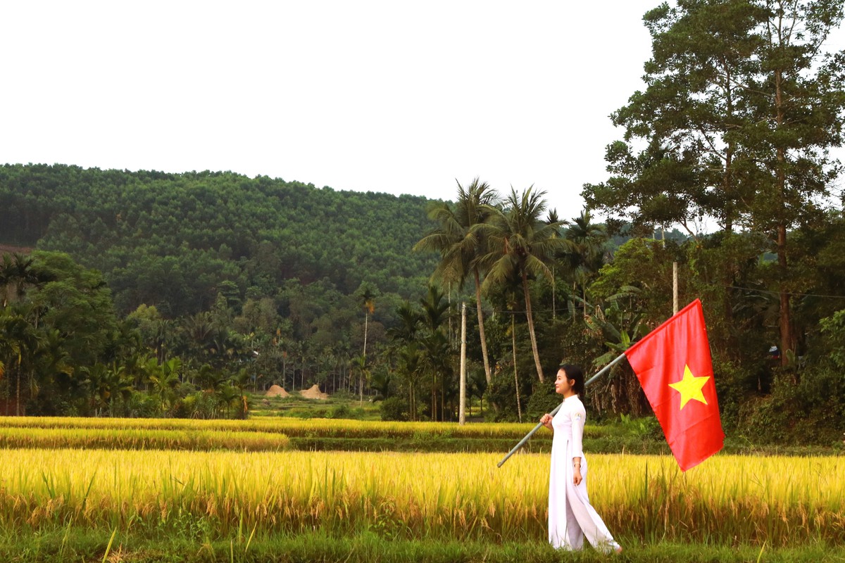 Mùa vàng trên non- Ảnh 13.