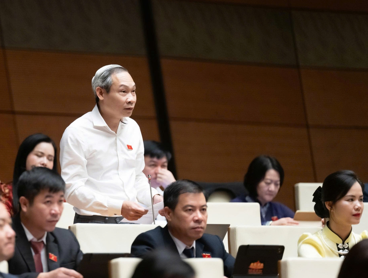 Ngưỡng chịu thuế với hộ kinh doanh: Cần khung linh hoạt nhưng có "lan can" rõ ràng- Ảnh 2.